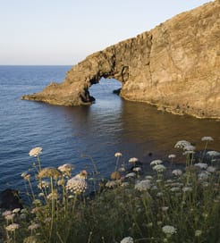 Île de Pantelleria